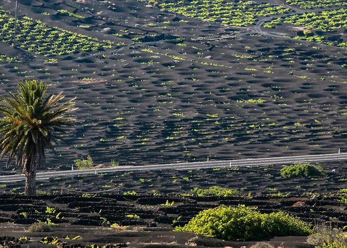 Home2book La Casita Del Puerto, Playablanca プラヤ・ブランカ