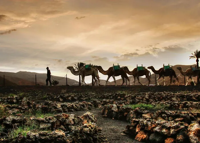 Home2book La Casita Del Puerto, Playablanca *